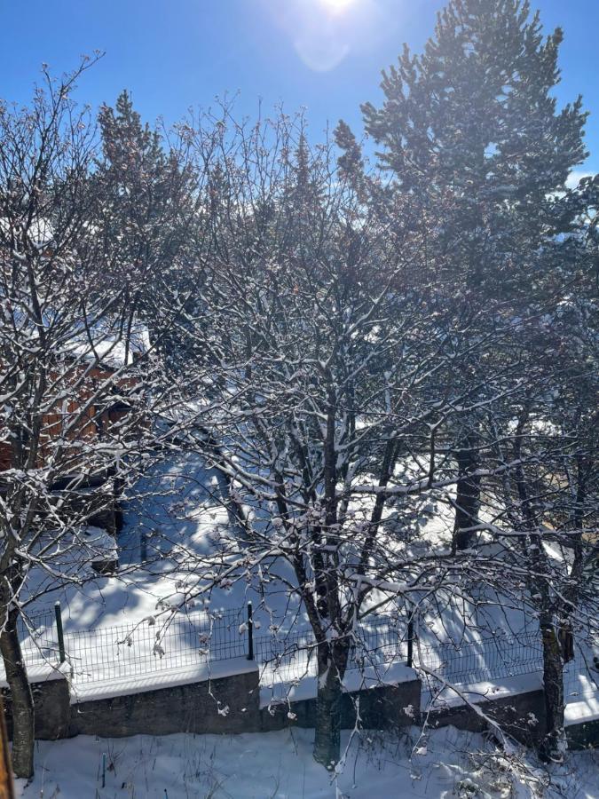 Chalet Isard Pyrenees 2000 - 300M Des Pistes Bolquère 외부 사진